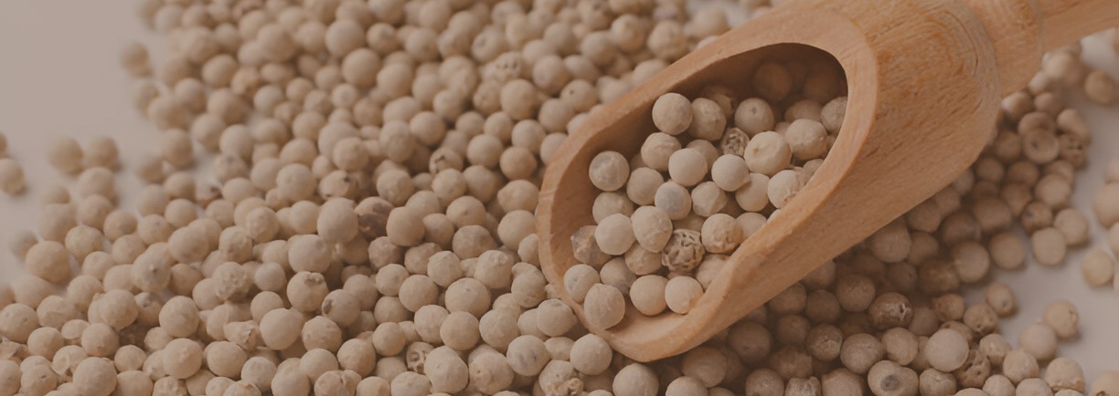White pepper
